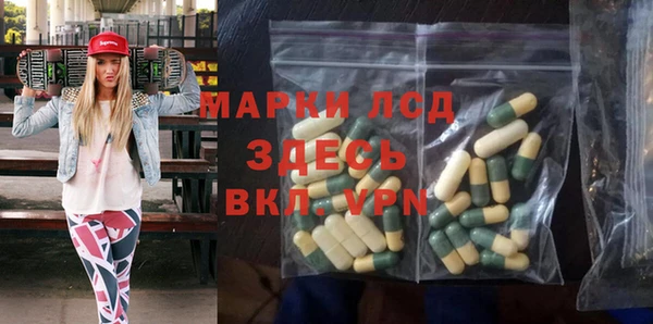 apvp Бородино